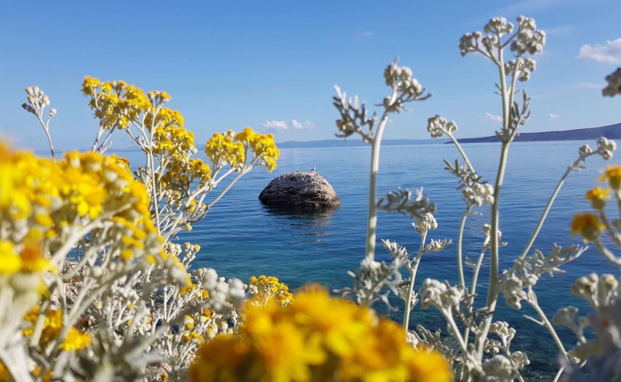 Villa Skalinada With Sea View Brela Kültér fotó